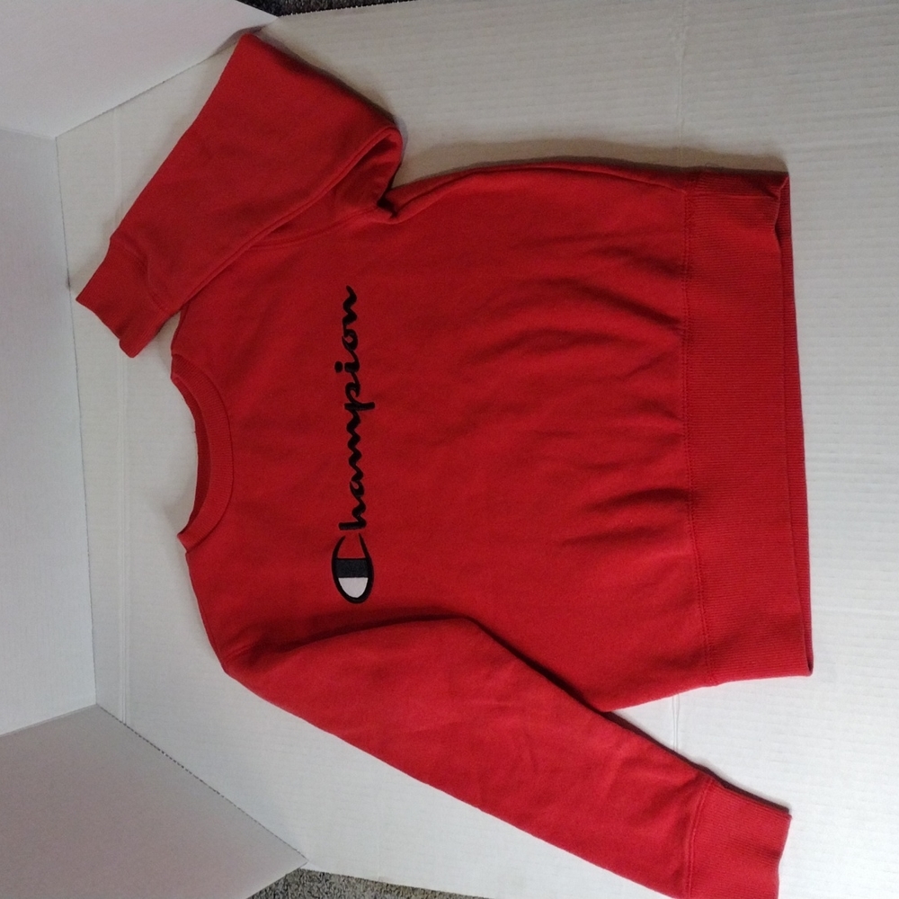 Champion Sweater